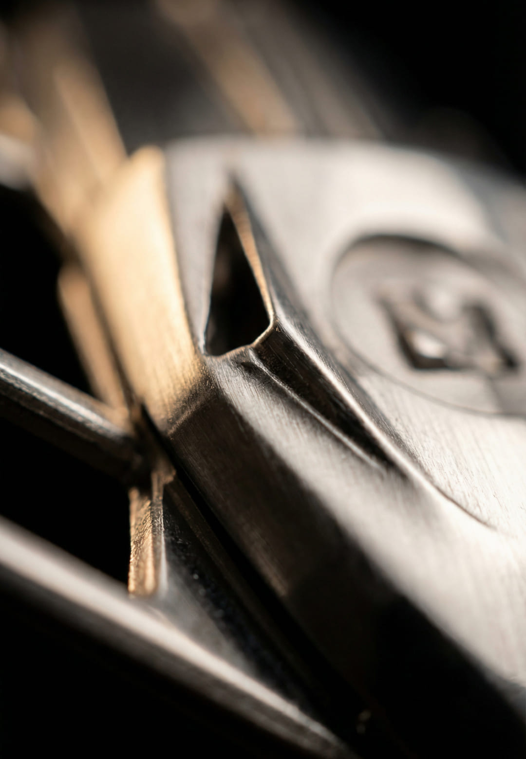 Insert Details Musk Be On Mars