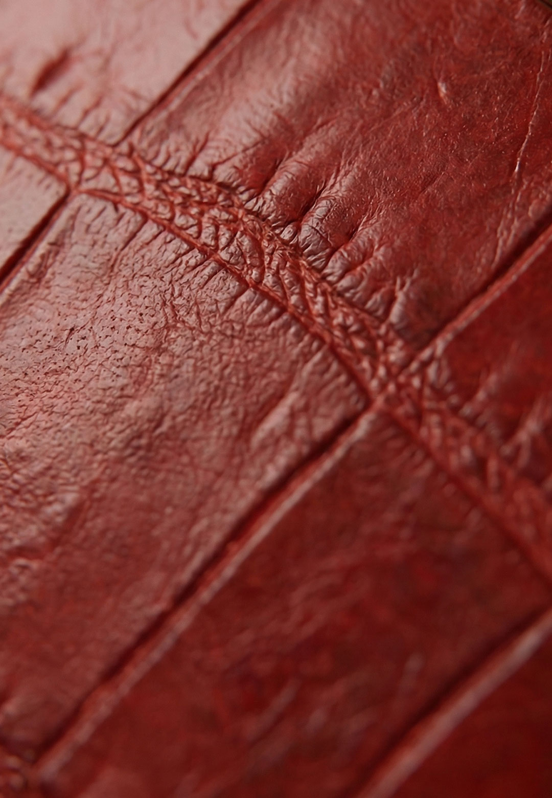 Unique Pattern Phoenix