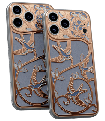 Custom iPhone 17 Pro/Pro Max Wings of Love