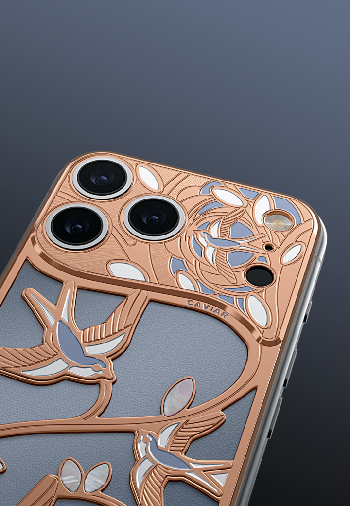 Camera Close-Up Wings of Love