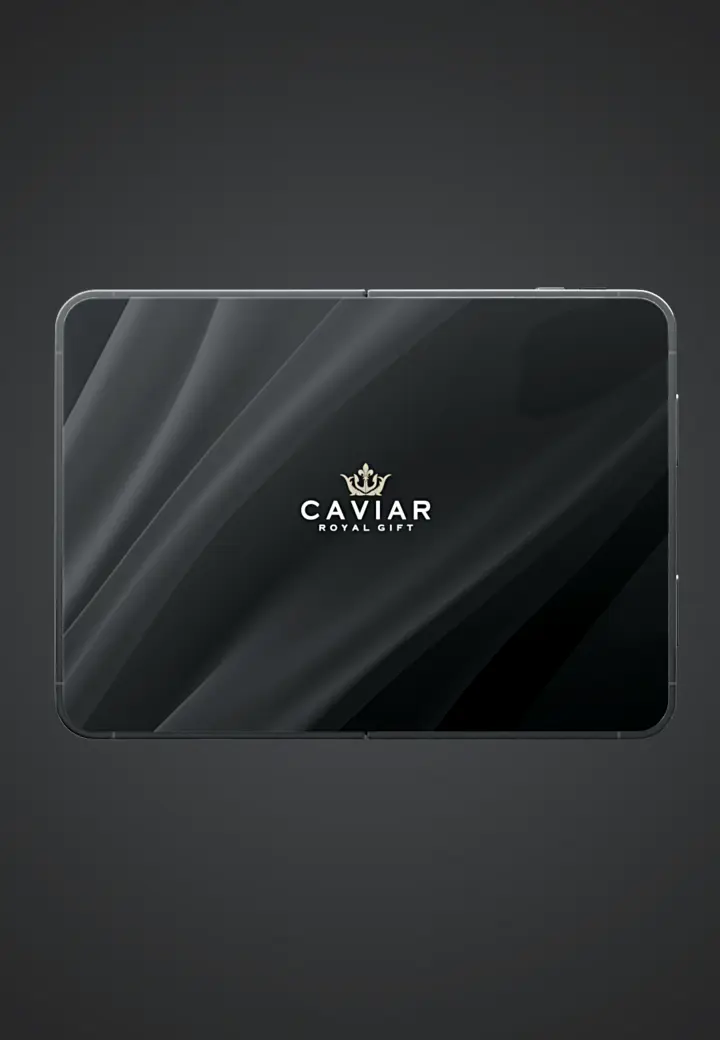 Main display (unfolded) Silver