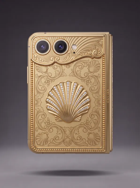 TREASURY · Seashell